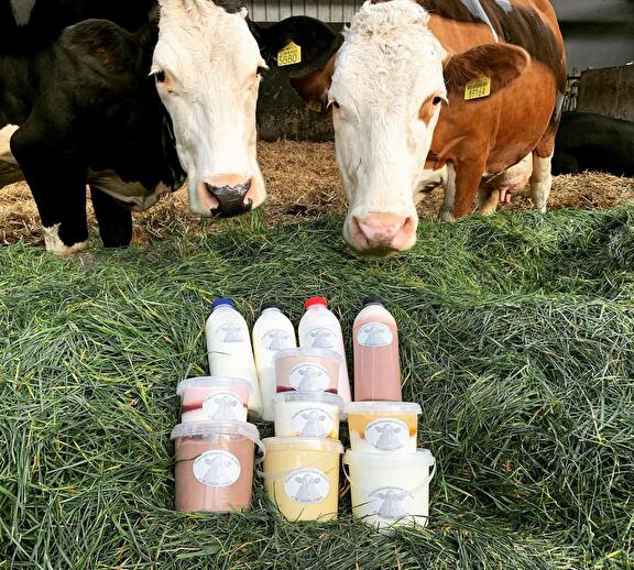 Kefir