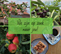 winkel medewerker ol diek vacature