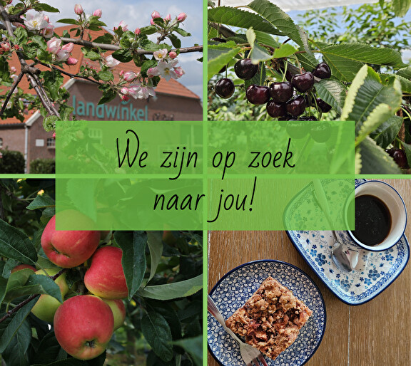 winkel medewerker ol diek vacature