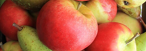 Groent en fruit streekproducten oldiek