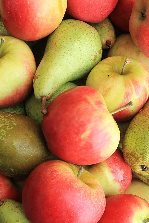 Fruit